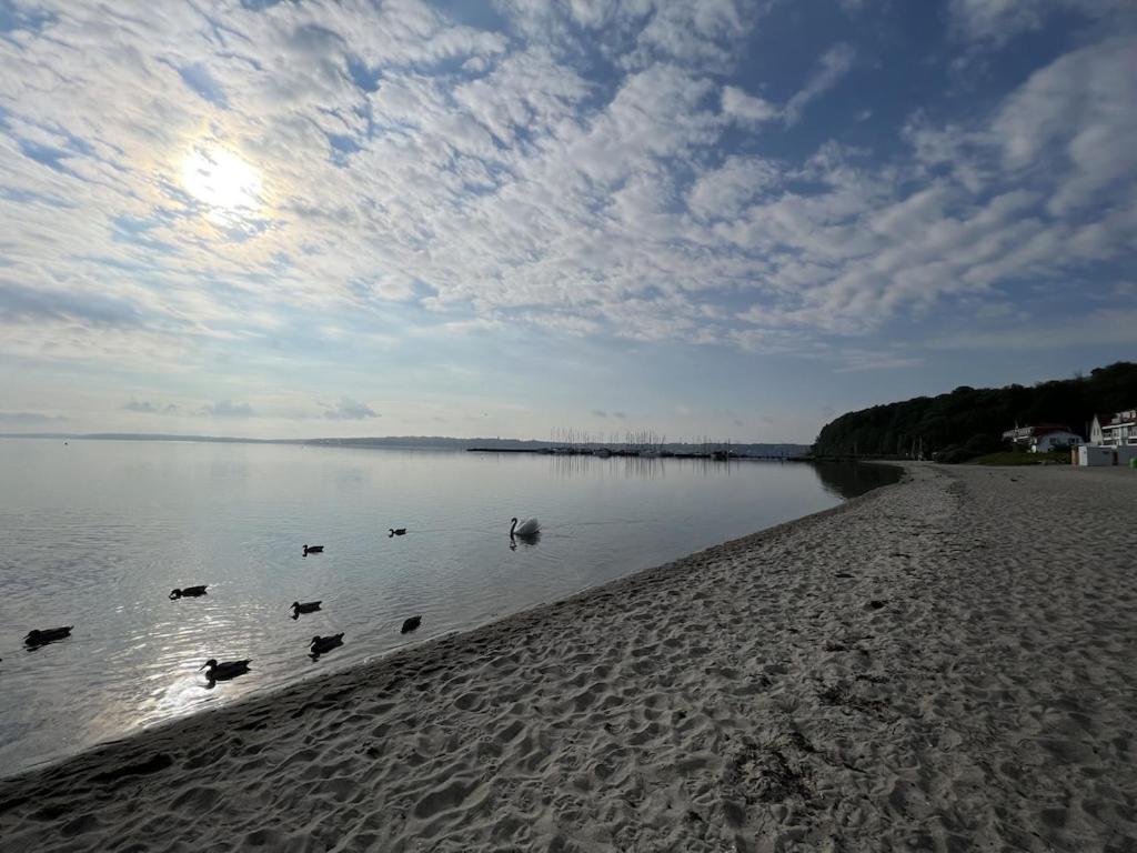 'Kapitaenslounge' Vollsanierte Fewo Mit Blick Auf Die Flensburger Foerde Harrislee Kültér fotó